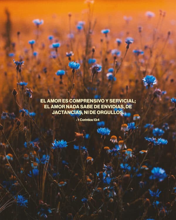 El amor es comprensivo y servicial; el amor nada sabe de envidias, de jactancias, ni de orgullos. - 1 Corintios