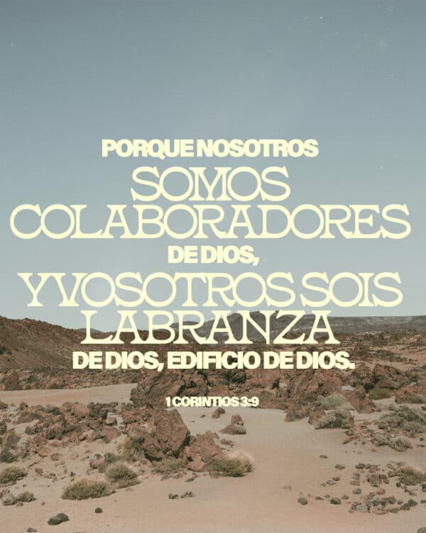 "Porque nosotros somos colaboradores de Dios, y vosotros sois labranza de Dios, edificio de Dios." - 1 Corintios 3:9