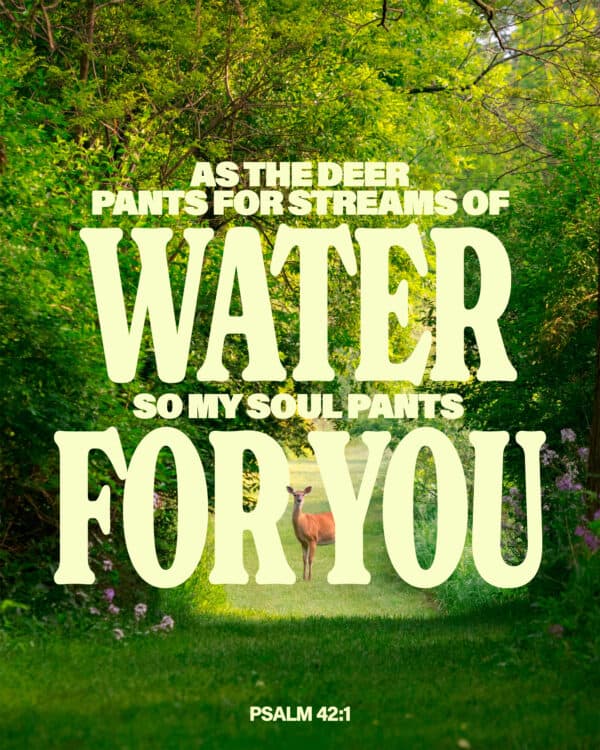 As the deer pants for streams of water, so my soul pants for you - Psalm 42:1
