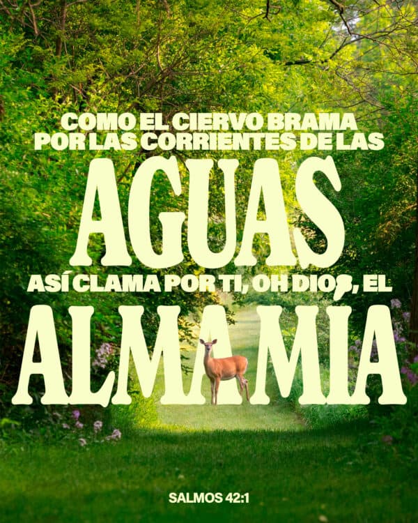 Como el ciervo brama por las corrientes de las aguas,  Así clama por ti, oh Dios, el alma mía. - Salmos 42:1