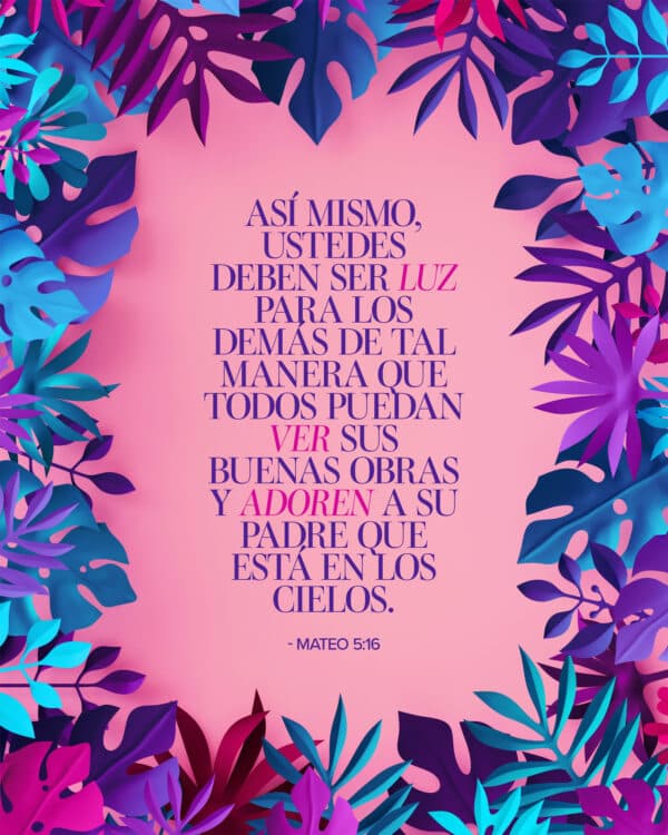 Así mismo, ustedes deben ser luz para los demás de tal manera que todos puedan ver sus buenas obras y adoren a su Padre que está en los cielos. - Mateo 5:16