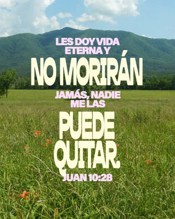"Les doy vida eterna y no morirán jamás, nadie me las puede quitar." - Juan 10:28