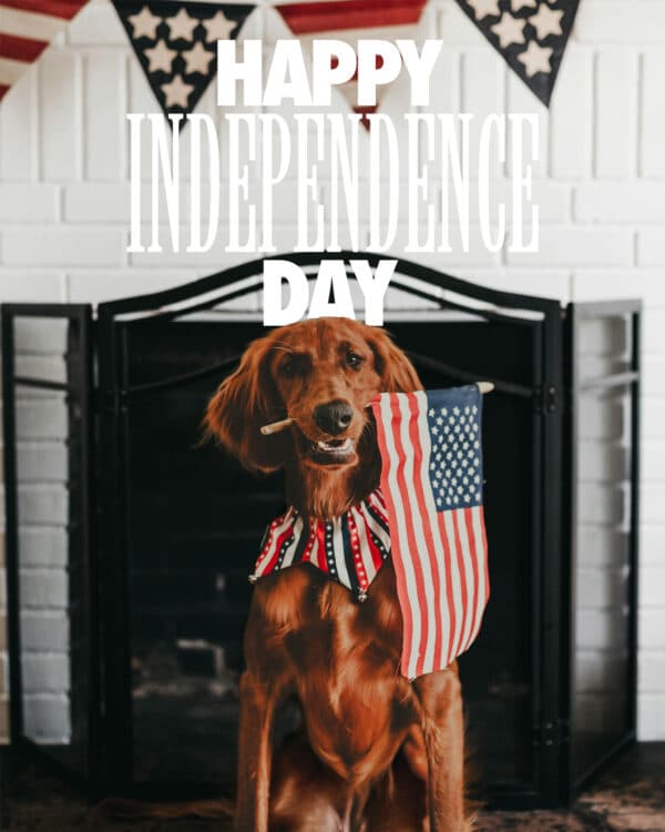 Happy Independence Day
