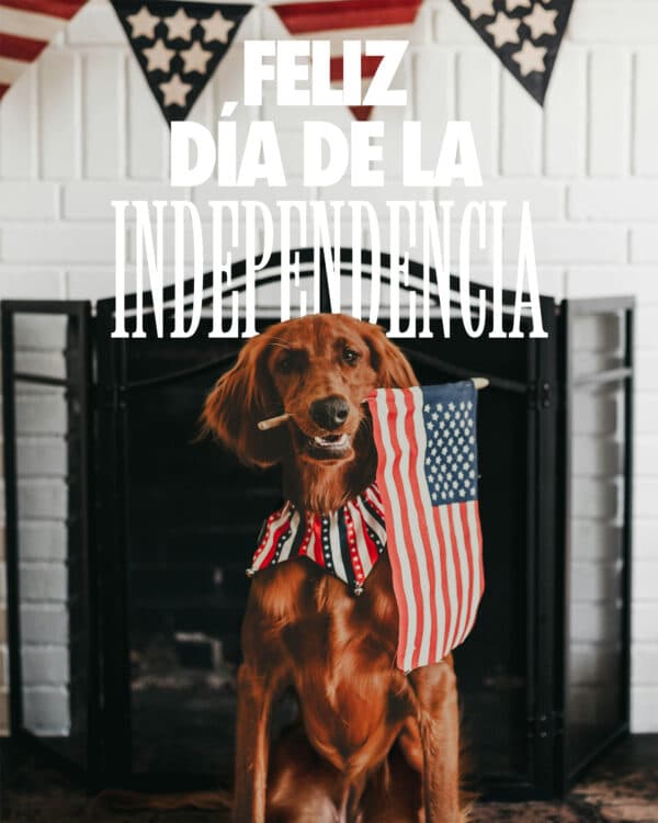 Feliz día de la independencia