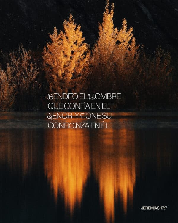 Bendito el hombre que confía en el Señor  y pone su confianza en Él. - Jeremias 17:7