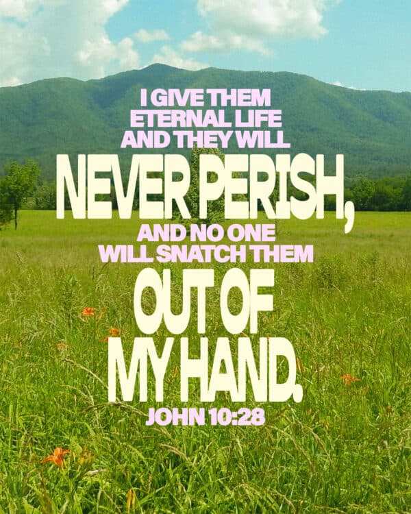 "I give them eternal life, and they will never perish, and no one will snatch them out of my hand." - John 10:28