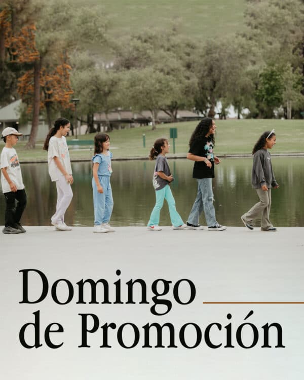 Domingo de Promoción