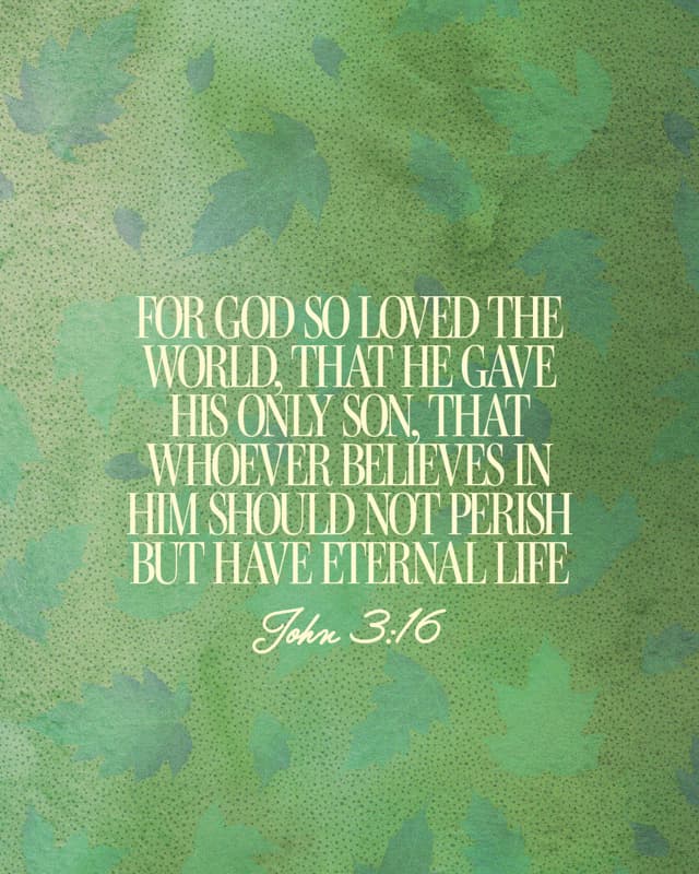 Scripture Posts