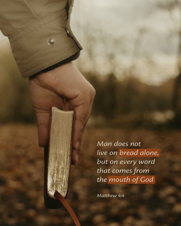 Man does not live on bread alone, but on every word that comes from the mouth of God. - Matthew 4:4