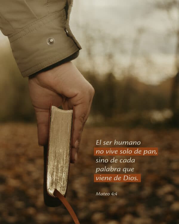 El ser humano no vive solo de pan, sino de cada palabra que viene de Dios. - Mateo 4:4