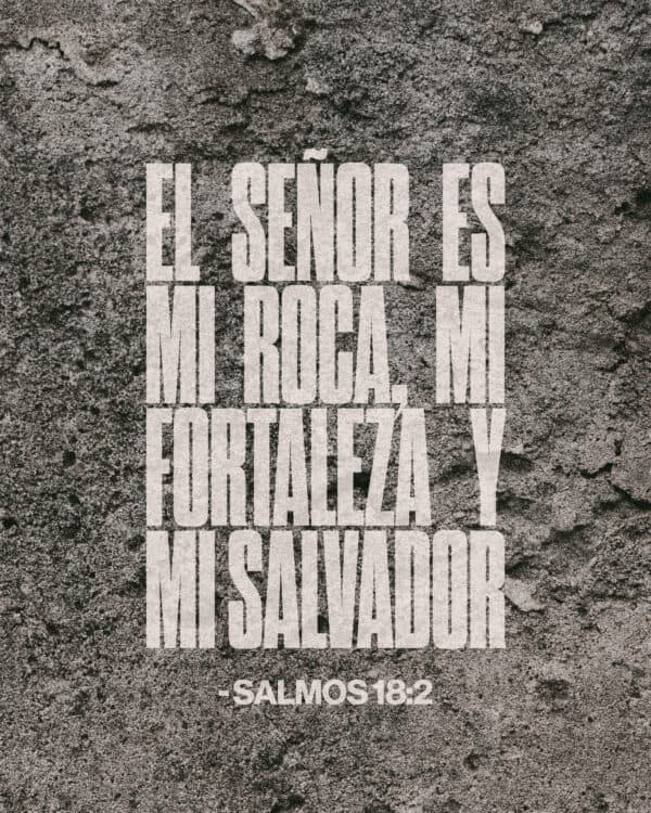 El Señor es mi roca, mi fortaleza y mi salvador. - Salmos 18:2