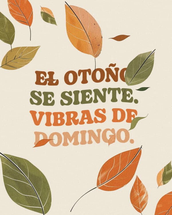 El otoño se siente. Vibras de domingo.