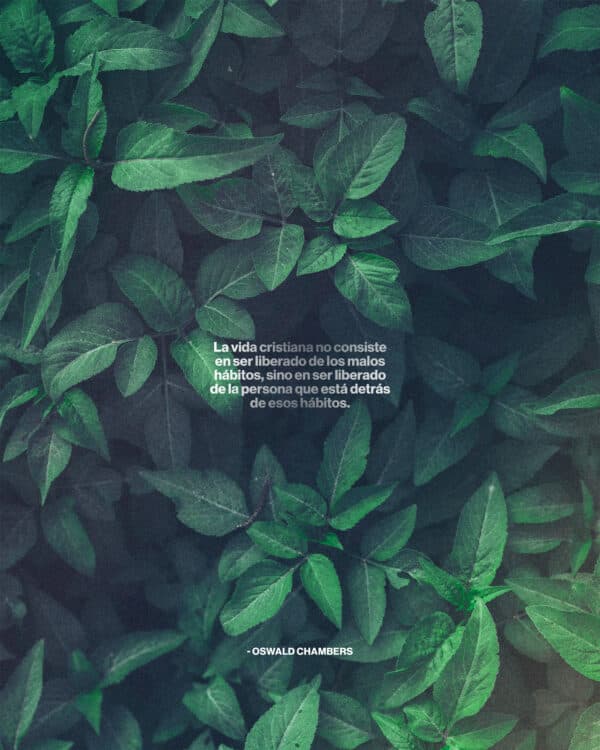 "La vida cristiana no consiste en ser liberado de los malos hábitos, sino en ser liberado de la persona que está detrás de esos hábitos." - Oswald Chambers