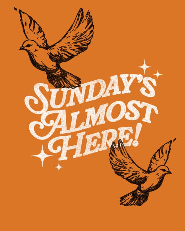 Sunday’s almost here!