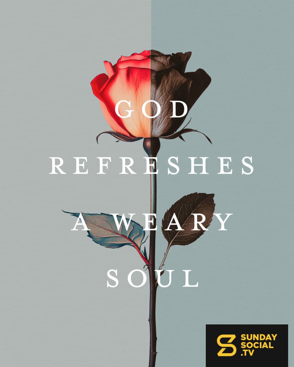 God refreshes a weary soul