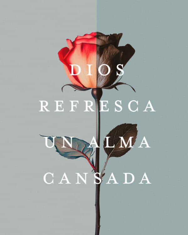 Dios refresca un alma cansada