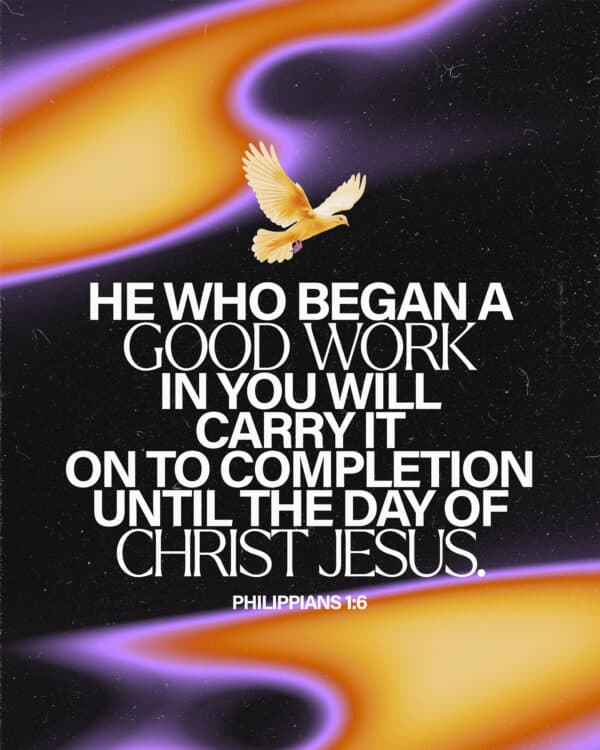 He who began a good work in you will carry it on to completion until the day of Christ Jesus. - Philippians 1:6