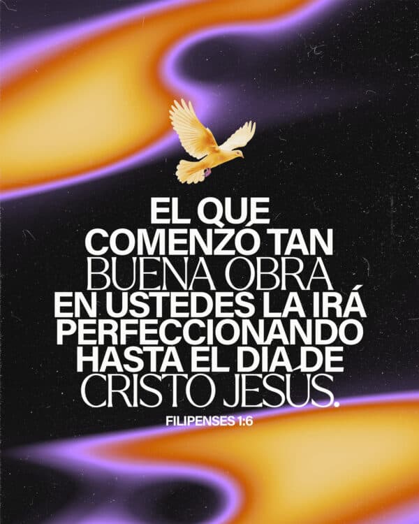 Estoy convencido de esto: el que comenzó tan buena obra en ustedes la irá perfeccionando hasta el día de Cristo Jesús. - Filipenses 1:6