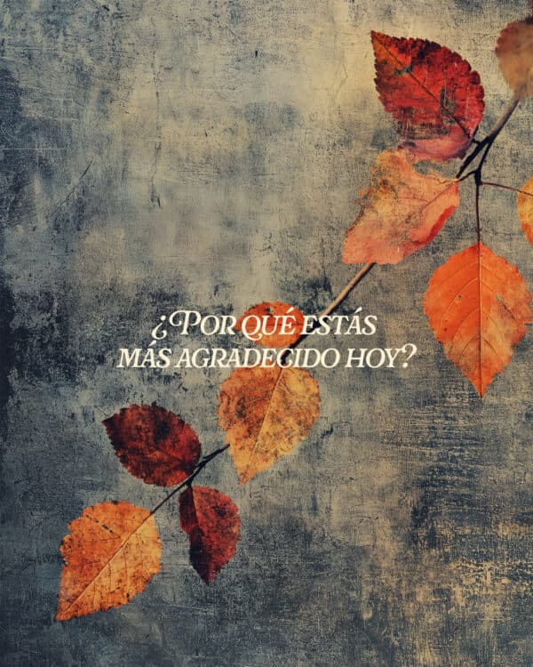 ¿Por qué estás más agradecido hoy?