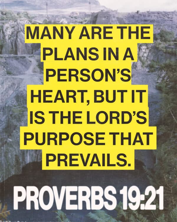 Many are the plans in a person's heart, but it is the Lord’s purpose that prevails. - Proverbs 19:21