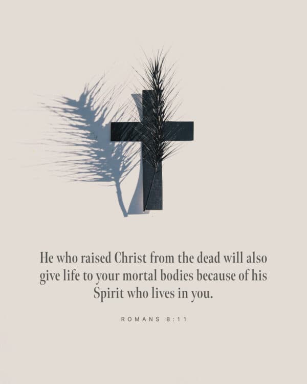 He who raised Christ from the dead will also give life to your mortal bodies because of his Spirit who lives in you. - Romans 8:11
