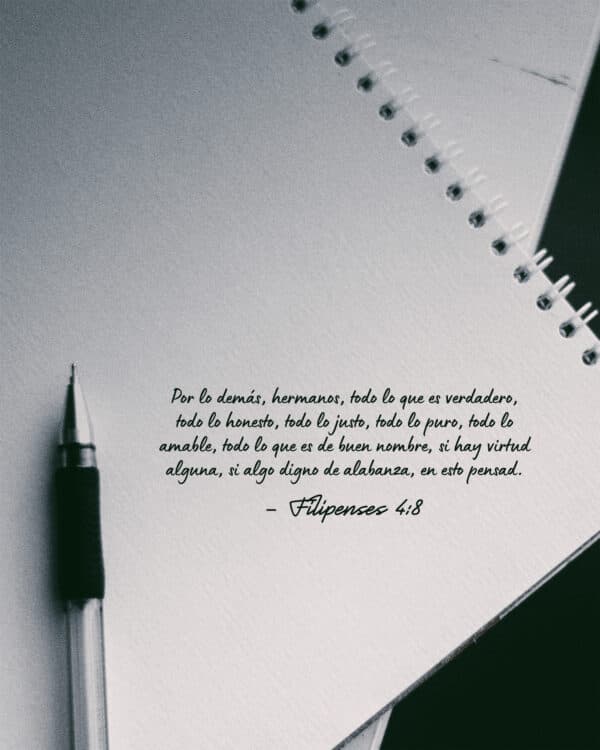 Por lo demás, hermanos, todo lo que es verdadero, todo lo honesto, todo lo justo, todo lo puro, todo lo amable, todo lo que es de buen nombre; si hay virtud alguna, si algo digno de alabanza, en esto pensad. - Filipenses 4:8