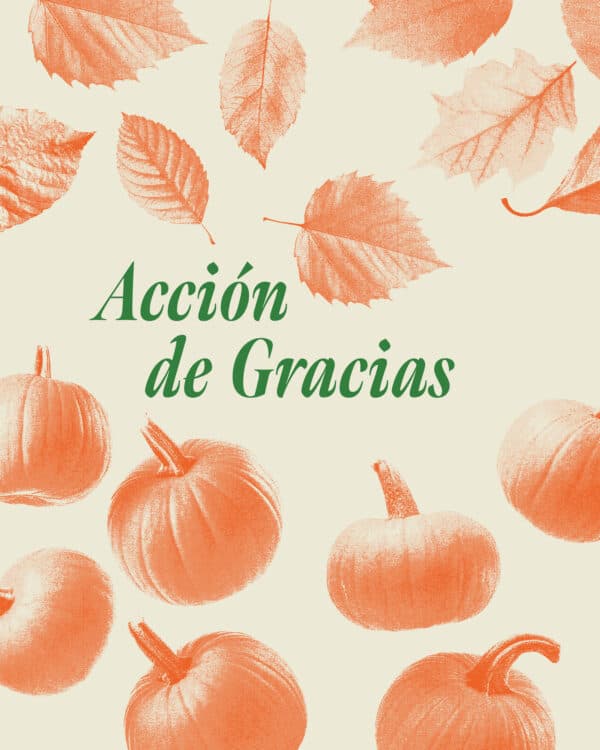Acción De Gracias