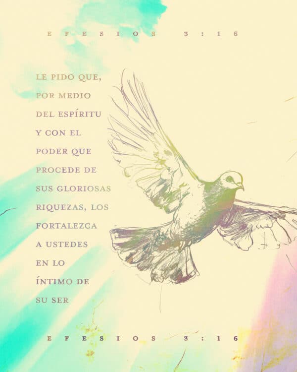Le pido que, por medio del Espíritu y con el poder que procede de sus gloriosas riquezas, los fortalezca a ustedes en lo íntimo de su ser, - Efesios 3:16