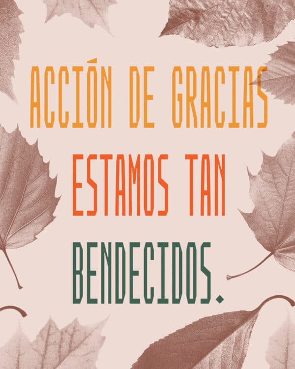 Acción De Gracias. Estamos Tan Bendecidos.