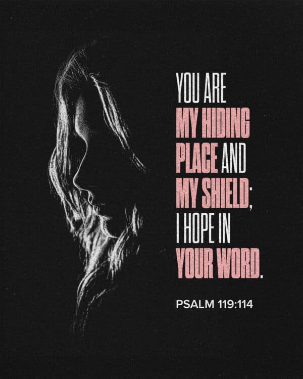 You are my hiding place and my shield; I hope in your word. - Psalm 119:114