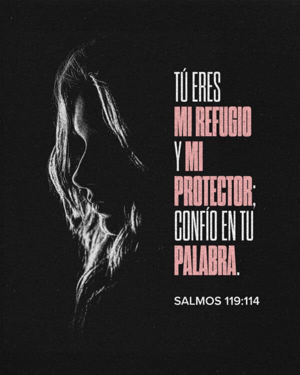 Tú eres mi refugio y mi protector; confío en tu palabra. - Salmos 119:114