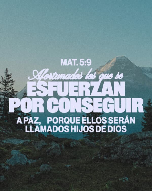 Afortunados los que se esfuerzan por conseguir la paz, porque ellos serán llamados hijos de Dios. - Mateo 5:9