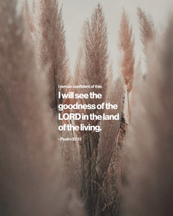 "I remain confident of this: I will see the goodness of the LORD in the land of the living." - Psalm 27:13