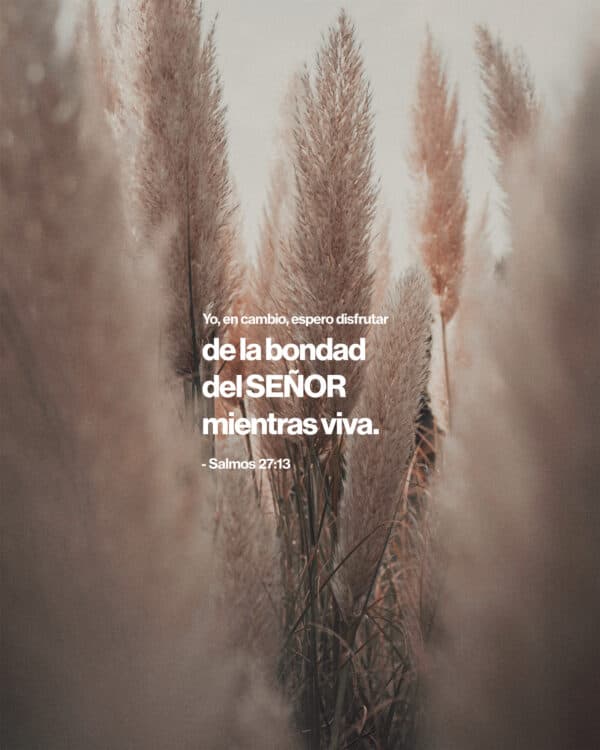 "Yo, en cambio, espero disfrutar de la bondad del SEÑOR mientras viva." - Salmos 27:13