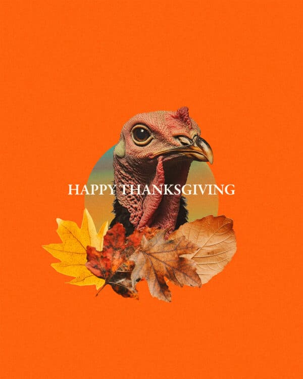 Happy Thanksgiving