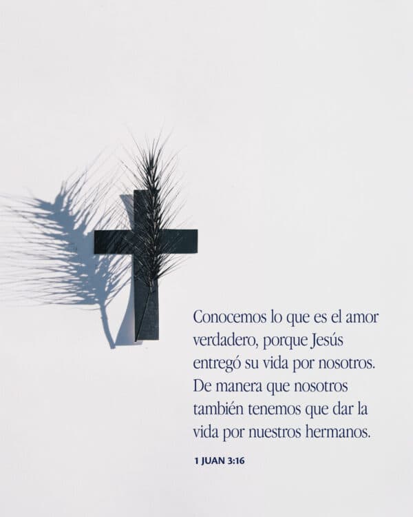 Conocemos lo que es el amor verdadero, porque Jesús entregó su vida por nosotros. De manera que nosotros también tenemos que dar la vida por nuestros hermanos. - 1 Juan 3:16