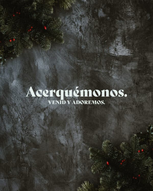 Acerquémonos. Venid y adoremos.