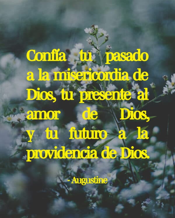 "Confía tu pasado a la misericordia de Dios, tu presente al amor de Dios, y tu futuro a la providencia de Dios." - Augustine