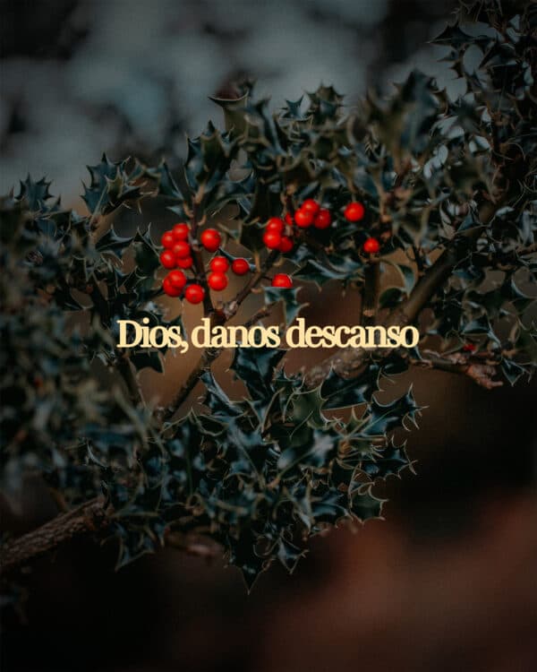 Dios, danos descanso