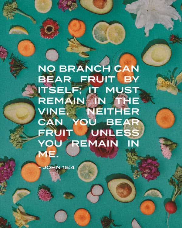 No branch can bear fruit by itself; it must remain in the vine. Neither can you bear fruit unless you remain in me. - John 15:4