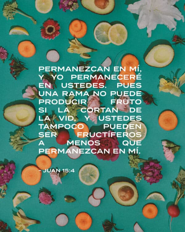 Permanezcan en mí, y yo permaneceré en ustedes. Pues una rama no puede producir fruto si la cortan de la vid, y ustedes tampoco pueden ser fructíferos a menos que permanezcan en mí. - Juan 15:4