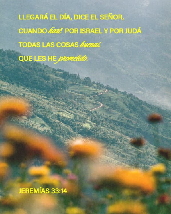 Llegará el día, dice el Señor, cuando haré por Israel y por Judá todas las cosas buenas que les he prometido. - Jeremías 33:14