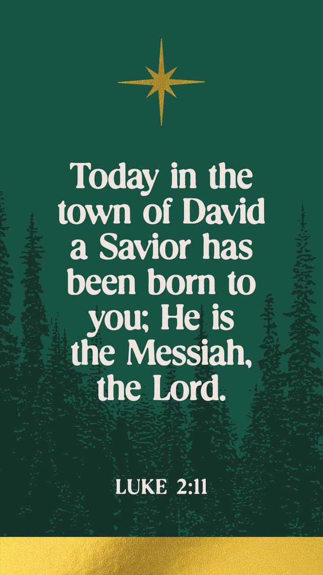 Savior Is Born