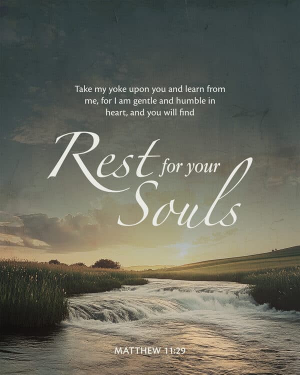 Take my yoke upon you and learn from me, for I am gentle and humble in heart, and you will find rest for your souls. - Matthew 11:29
