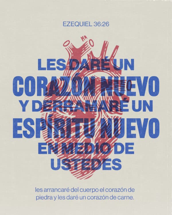 Les daré un corazón nuevo y derramaré un espíritu nuevo en medio de ustedes; les arrancaré del cuerpo el corazón de piedra y les daré un corazón de carne. - Ezequiel 36‬:‭26‬ ‭