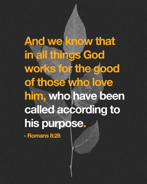 And we know that in all things God works for the good of those who love him, who have been called according to his purpose. - Romans 8:28