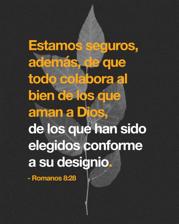 Estamos seguros, además, de que todo colabora al bien de los que aman a Dios, de los que han sido elegidos conforme a su designio. - Romanos 8:28‭