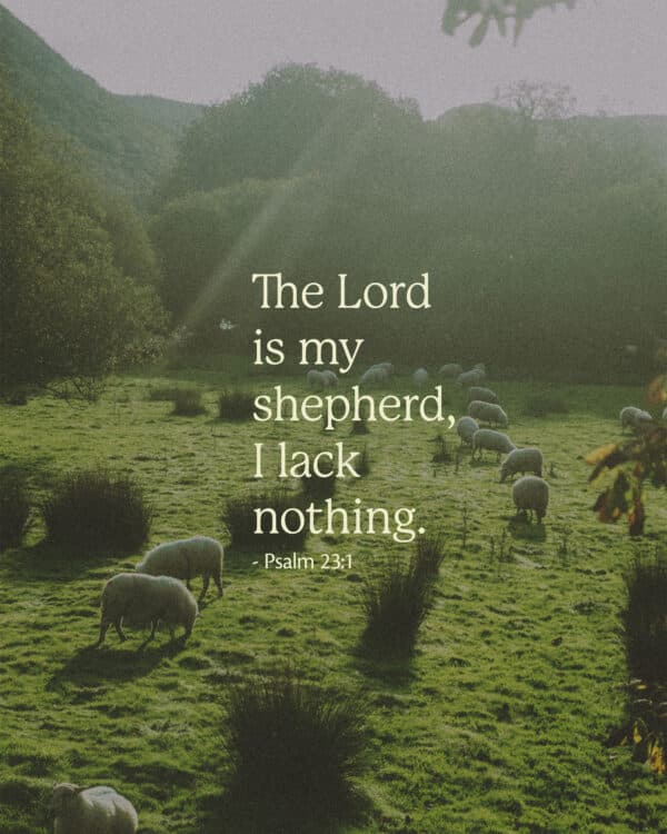 The Lord is my shepherd, I lack nothing. - Psalm 23:1