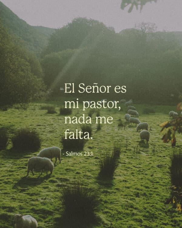 El Señor es mi pastor, nada me falta. - Salmos 23:1