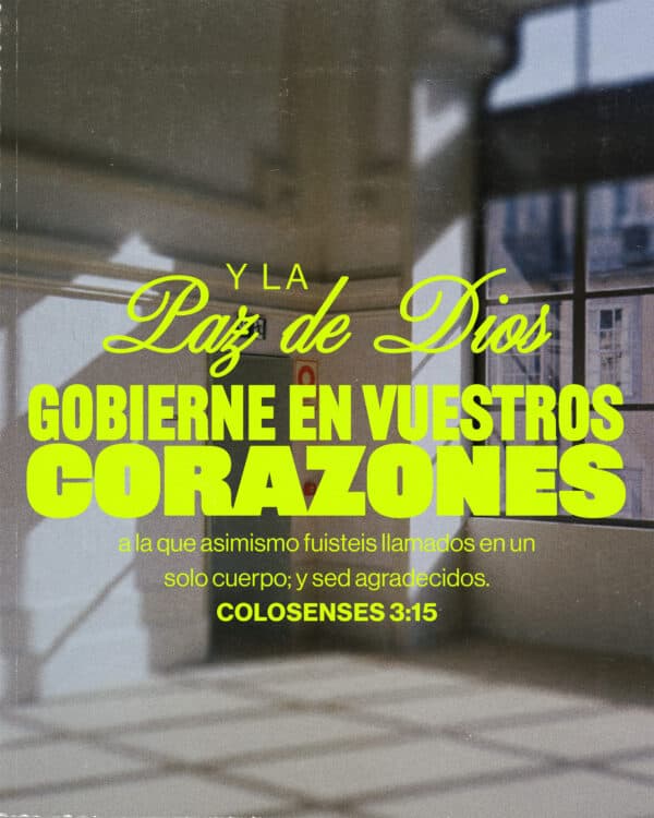 Y la paz de Dios gobierne en vuestros corazones, a la que asimismo fuisteis llamados en un solo cuerpo; y sed agradecidos - Colosenses 3:15
